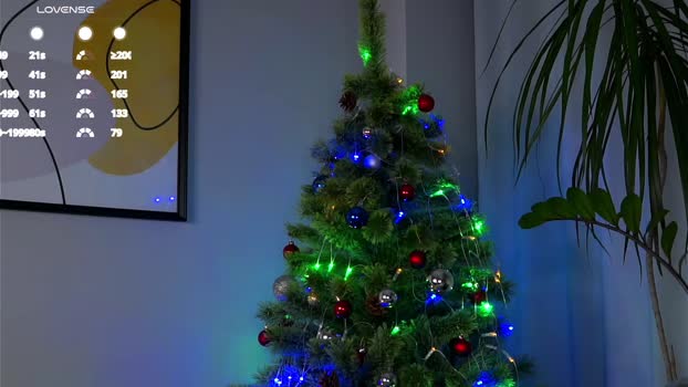 taitehambelton Female Chaturbate 29-12-2024
