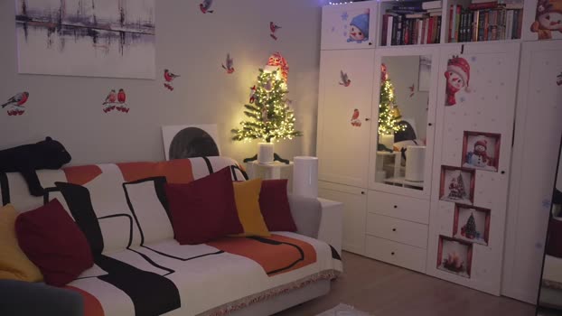 _blackbee_ Female Chaturbate 29-12-2024
