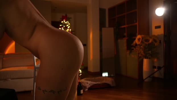 jseductiveart Female Chaturbate 31-12-2024