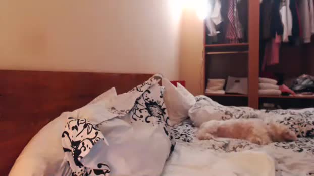 andrasweetie Couple Chaturbate 01-01-2025
