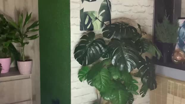 hotcoupleee2020 Couple Chaturbate 03-01-2025