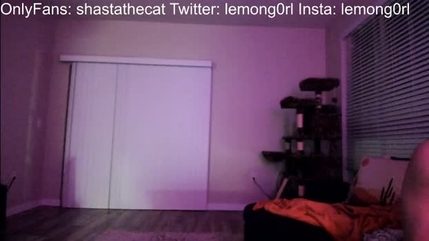 shastathecat Female Chaturbate 04-01-2025