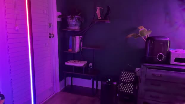 oliviahansleyy Female Chaturbate 05-01-2025
