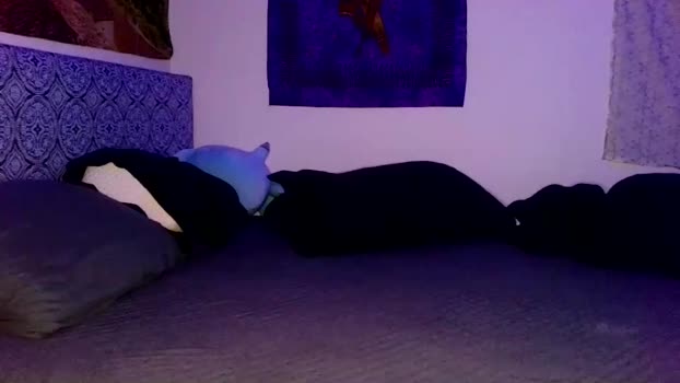 georgeviolet Couple Chaturbate 10-01-2025