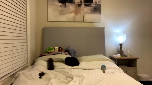 susannahxx Female Chaturbate 12-01-2025