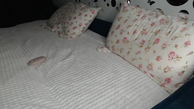 cuteemouse Female Chaturbate 14-01-2025