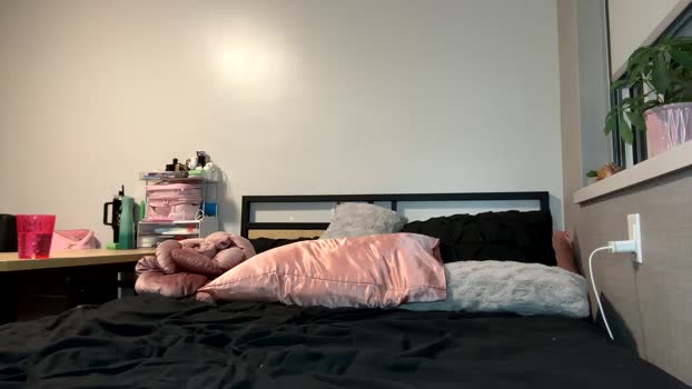 pprincesskyliee Female Chaturbate 14-01-2025