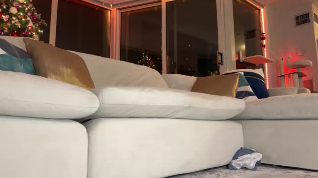 graciemae_baexx Couple Chaturbate 23-01-2025