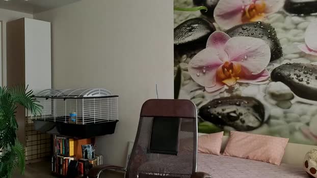 jennycutey Female Chaturbate 25-01-2025