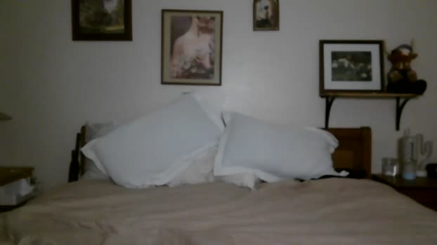 chloe_and_dic Couple Chaturbate 28-01-2025