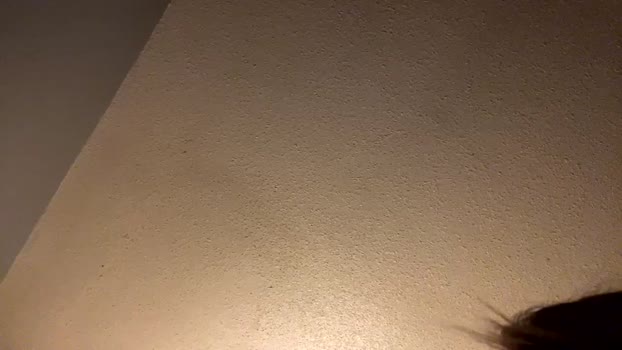kennedibrookie669160 Couple Chaturbate 07-02-2025