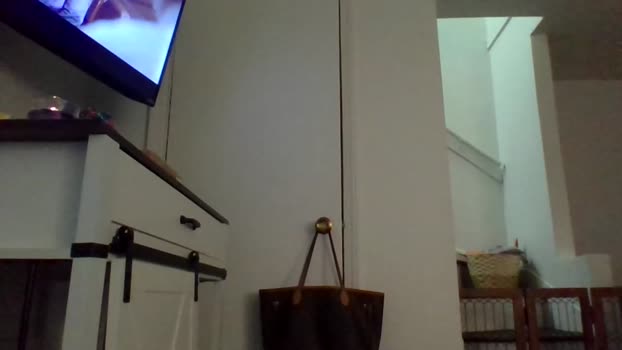 princessandthedingo Couple Chaturbate 08-02-2025