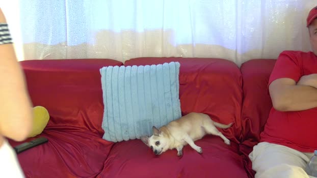 mickeyshyne69 Couple Chaturbate 09-02-2025