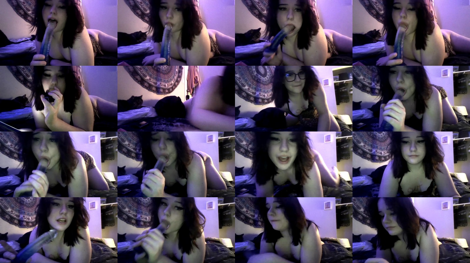 kittykatherinex Female Chaturbate 15-02-2025
