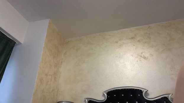 littleblacks Couple Chaturbate 28-02-2025