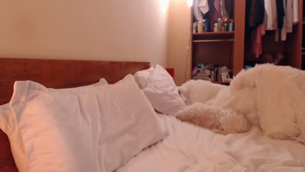 andrasweetie Couple Chaturbate 01-03-2025