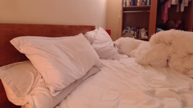 andrasweetie Couple Chaturbate 01-03-2025