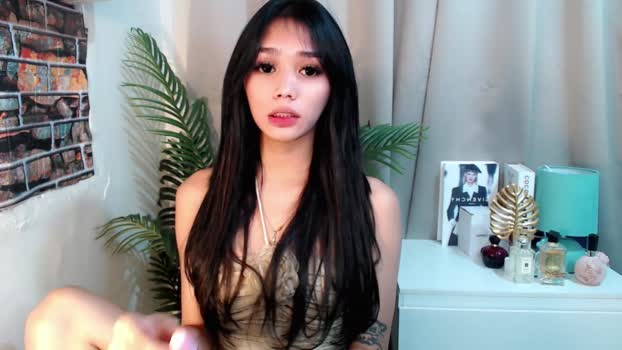 papi19xx