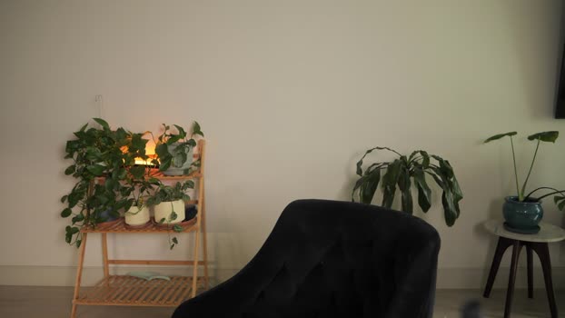 doubedeesarai Female Chaturbate 04-03-2025