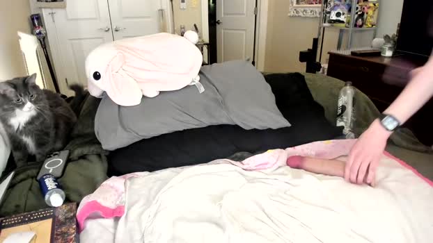 eve003300 Female Chaturbate 17-03-2025