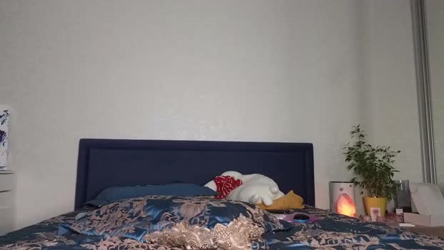 lisi4ka_basik33 Couple Chaturbate 21-03-2025