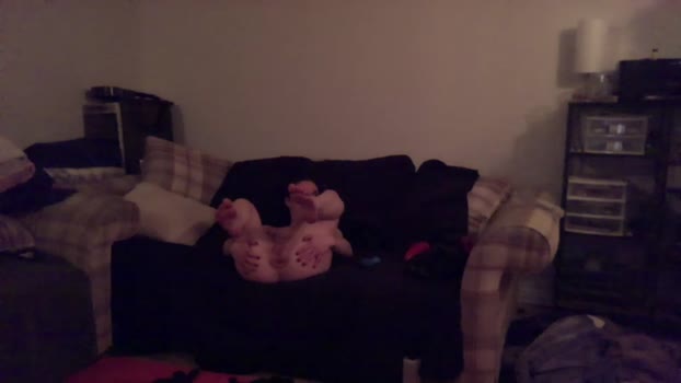 hornydiscovery Couple Chaturbate 30-03-2025