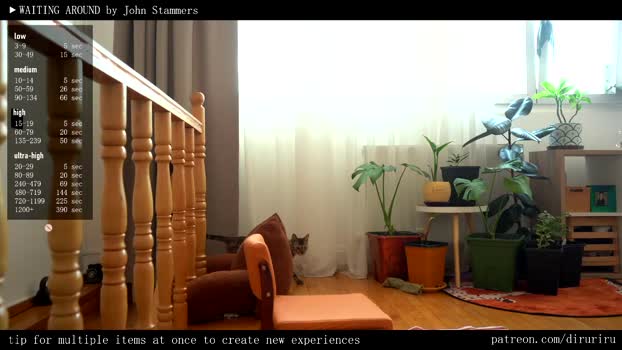 ms_dira Female Chaturbate 01-04-2025