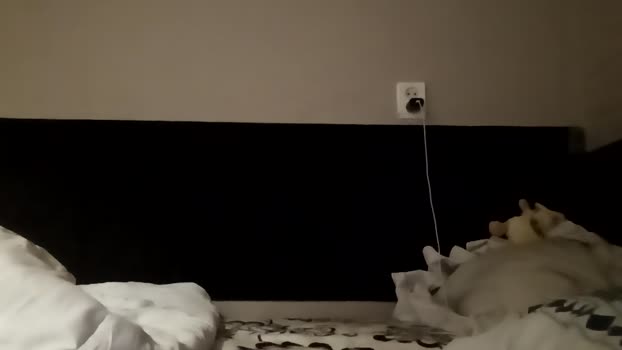vieledlust Couple Chaturbate 05-04-2025