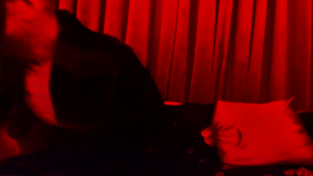 pussyraider911 Couple Chaturbate 10-04-2025