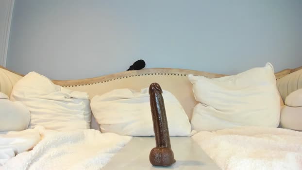 eatmygingersnapps Female Chaturbate 11-04-2025