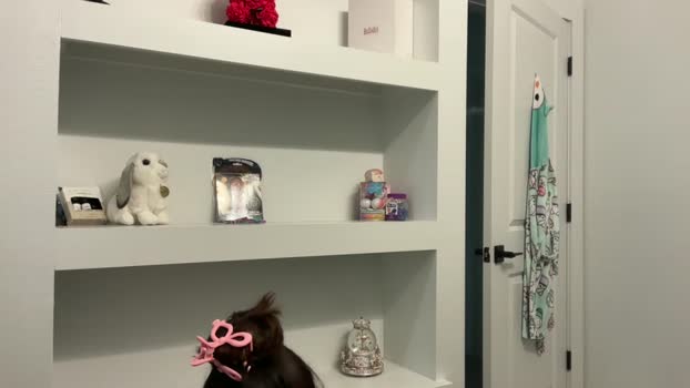 camiliakxoxo Female Chaturbate 16-04-2025