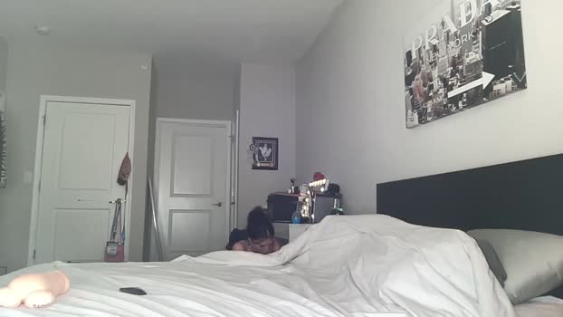 annyexoxo Female Chaturbate 24-04-2025