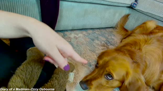 x_lily_x Female Chaturbate 01-05-2025