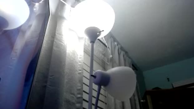 lolaisfamous Couple Chaturbate 05-05-2025
