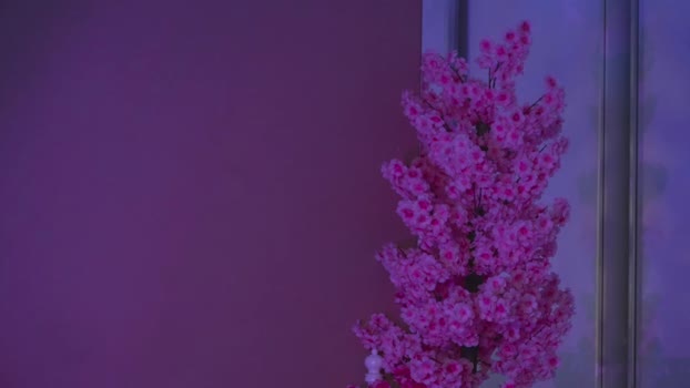 new_purple Couple Chaturbate 08-05-2025