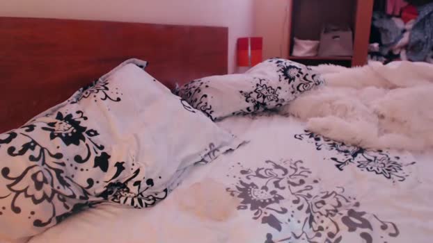 andrasweetie Couple Chaturbate 25-05-2025