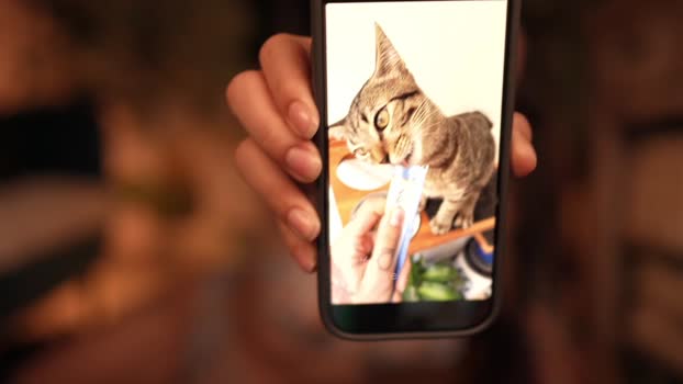 effylowell_ Female Chaturbate 03-06-2025