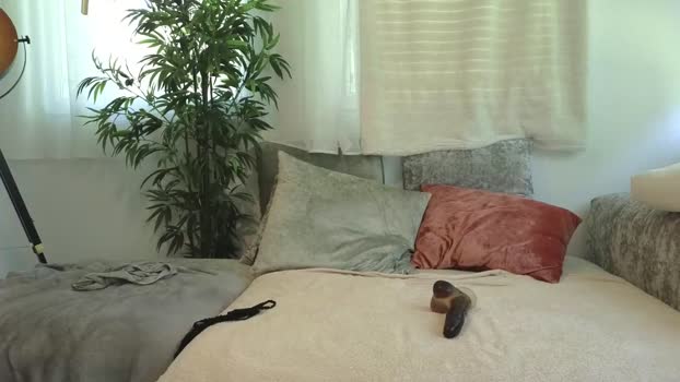 malenahot525 Couple Chaturbate 05-06-2025