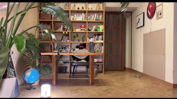 yuanlili Female Chaturbate 05-06-2025