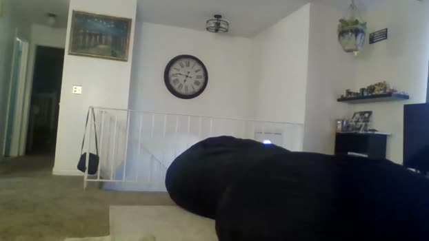 gloryummy Couple Chaturbate 09-06-2025