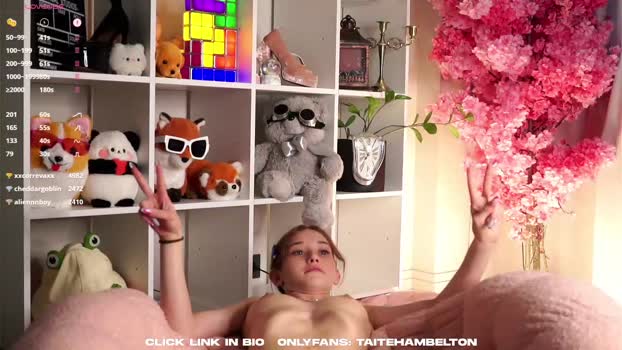 taitehambelton Female Chaturbate 10-06-2025