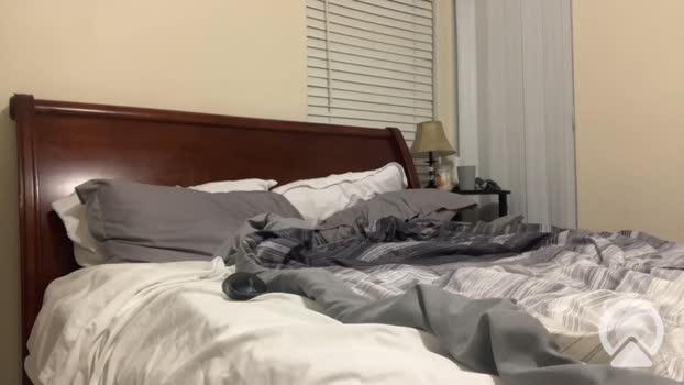 daddylongdong1x Couple Chaturbate 15-06-2025