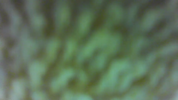 rickyandluucy Couple Chaturbate 16-06-2025