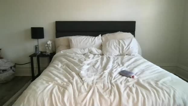scarletterose_504259 Female Chaturbate 29-06-2025