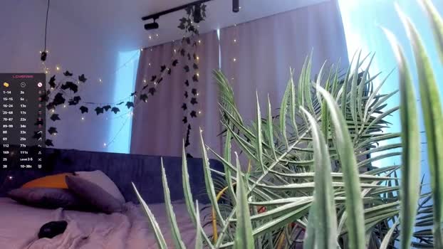 quennacindy Female Chaturbate 01-07-2025