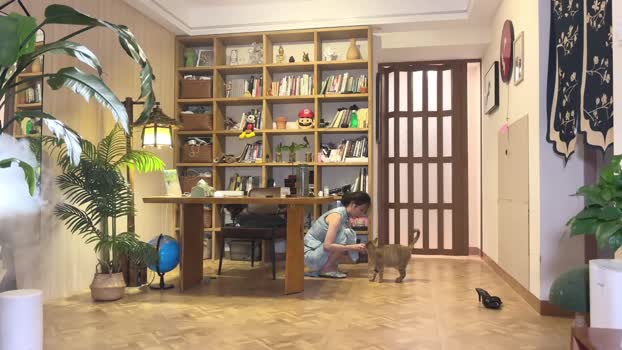 yuanlili Female Chaturbate 17-07-2025