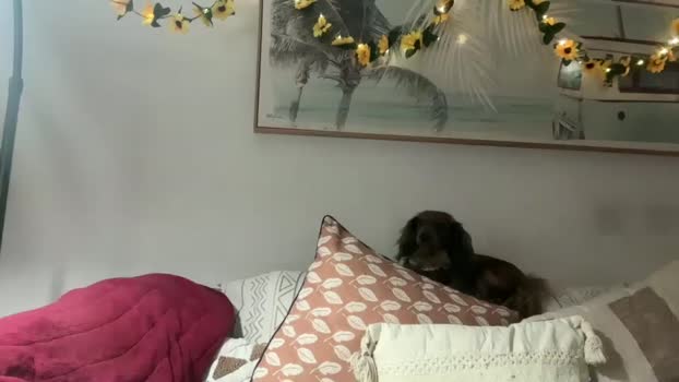 mumandminidesires Couple Chaturbate 18-08-2025