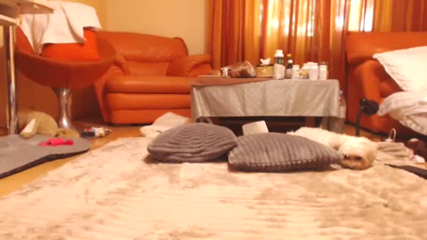 andrasweetie Couple Chaturbate 27-08-2025
