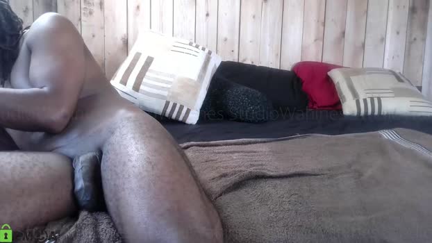 studiowahines Couple Chaturbate 29-08-2025