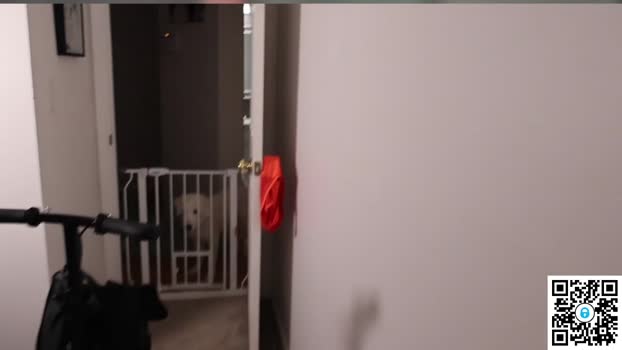 ari_lovexo Couple Chaturbate 10-09-2025